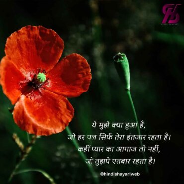 shayari love